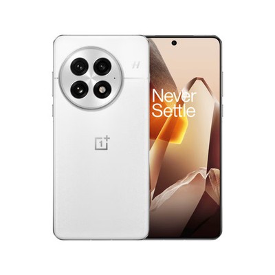 OnePlus 13 Smartphone Arctic Dawn 16/512GB Dual-SIM Android 15