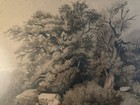 Dessin XIXe 1850 Encre Lavis Étude Ancien Arbre Branche Art Feuille Drawing Old
