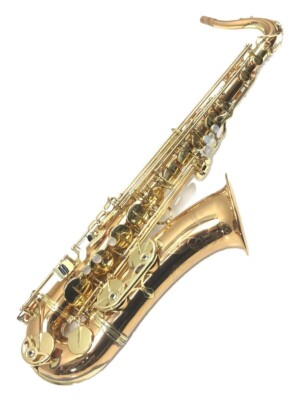 Yanagisawa T-902 Tenor Saxophone Hardcase | eBay