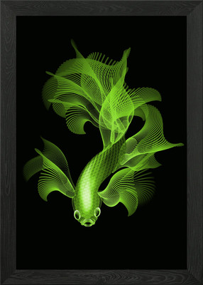 fighter fish in lime color Framed Wall Art Poster Canvas Print Picture