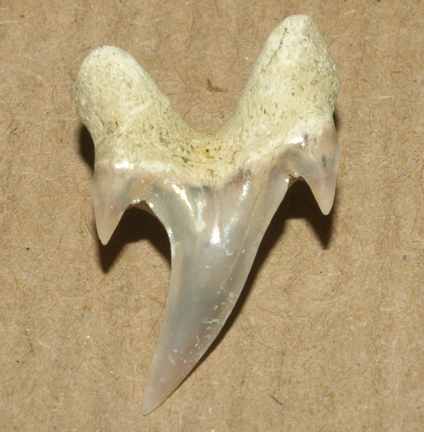 Picture 6 of 13
