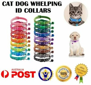 whelping collars australia