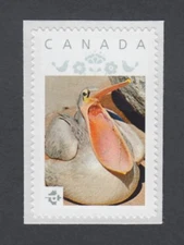 PELICAN = sea bird = MNHCanada 2014 [pp9exb7/4]