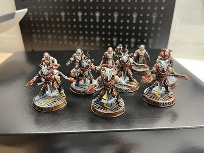 Necromunda corpse grinder Gang (1) mit 10 Modellen Boxart bemalt Warhammer 40K 