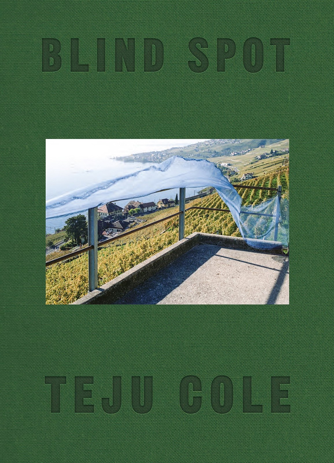 Blind Spot by Teju Cole HARDBACK 9780571335015 - Image 5