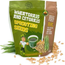 - 1Lb Wheatgrass for Juicing & Catgrass for Pets – Grows Fast, Stays Fresh, L...