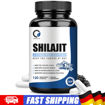 Bio Himalaya Shilajit Energie, Ausdauer & Immunität Booster Brain Power 120PCS