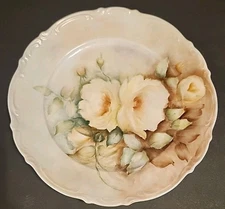 Vintage Mitterteich Bavaraia Germany Plate Roses Hand Painted