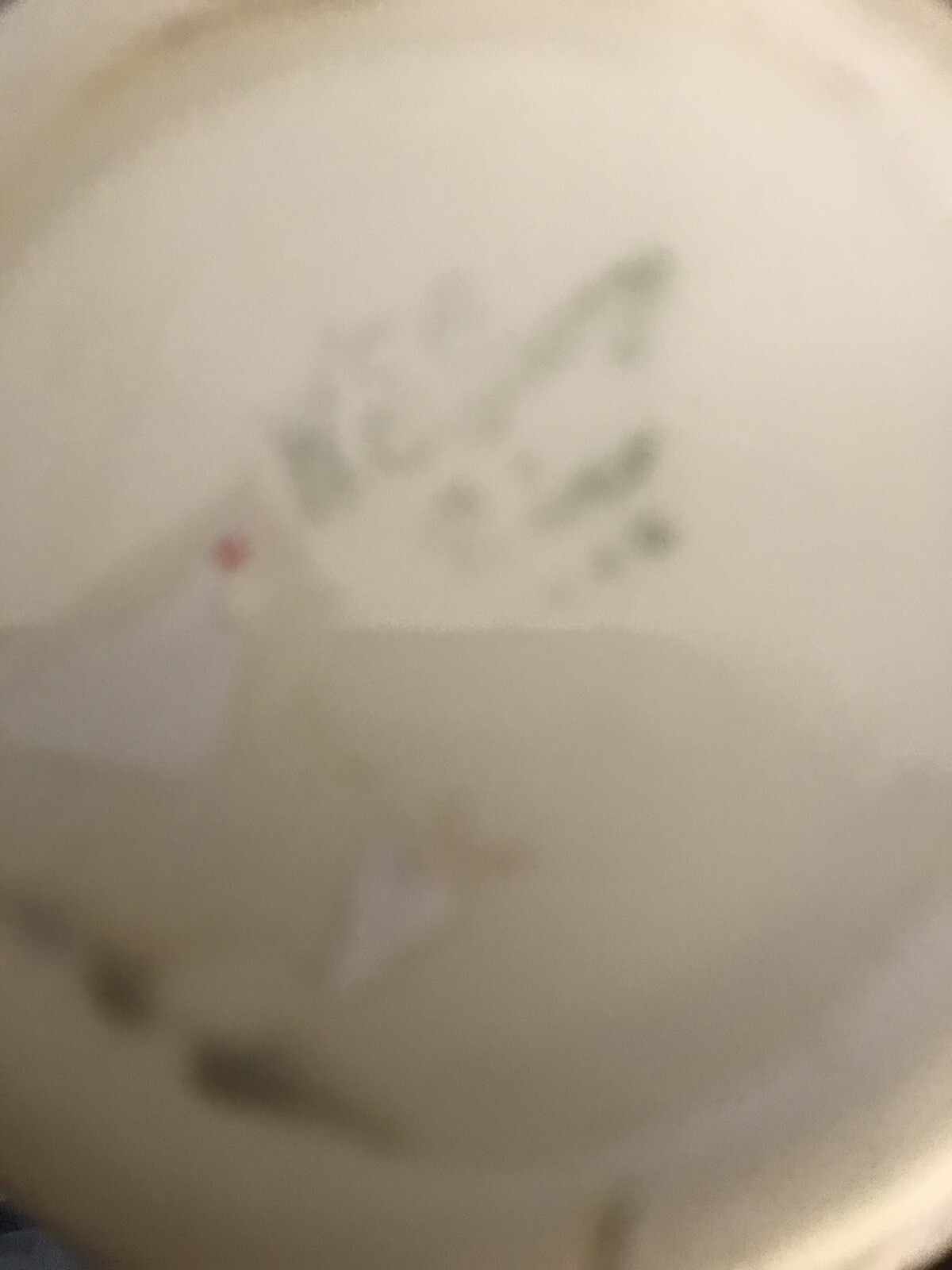 Picture 6 of 6