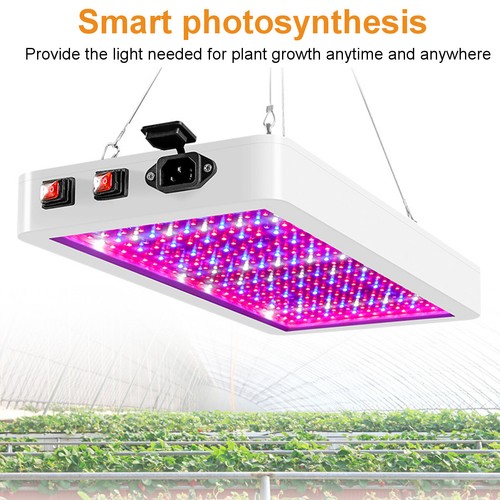LED Grow Light 5000W/8000W Hydroponic Full Spectrum Veg Flower Plant Lamp Pane - Picture 11 of 13