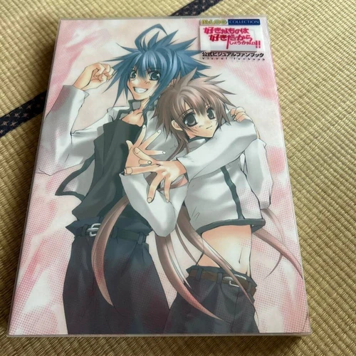 Sukisho BOOK ART first limit official visual fan book