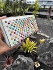 Christian Louboutin PANETTONE White Multicolor Spike Leather Clutch Wallet — photo 6