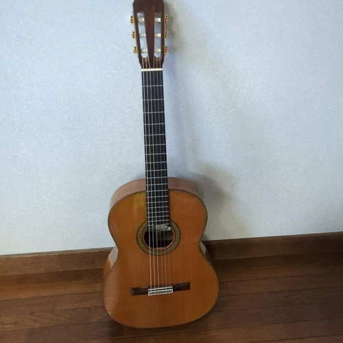 Asturias Classical Guitar Indian Rosewood Top Ebony Fretboard w/ Case