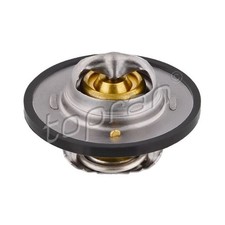 Thermostat Ford ORION