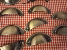 Muschelgriffe 12x Messing-Optik für Möbel und Schubladen