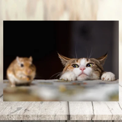 FABULOUS FELINES Peekaboo Funny Cat & Mouse Greeting Card Humorous Birthday Greetings Cards Blank