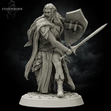 Elven Warrior by Stormborn Collectibles | D&D | DnD | Print on Demand