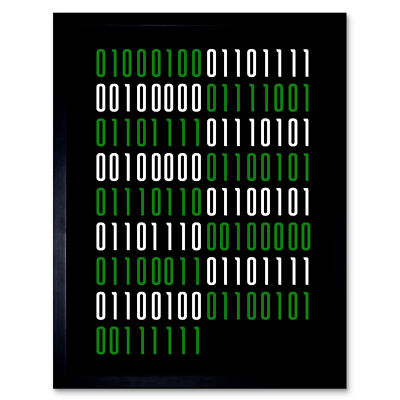 Binary Do You Even Code Geek Nerd Humor Zitat Wandkunstdruck gerahmt 12x16