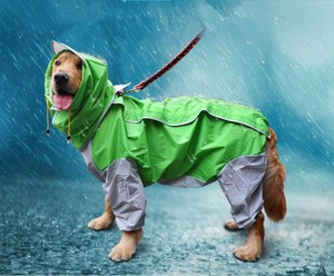 giant dog raincoat