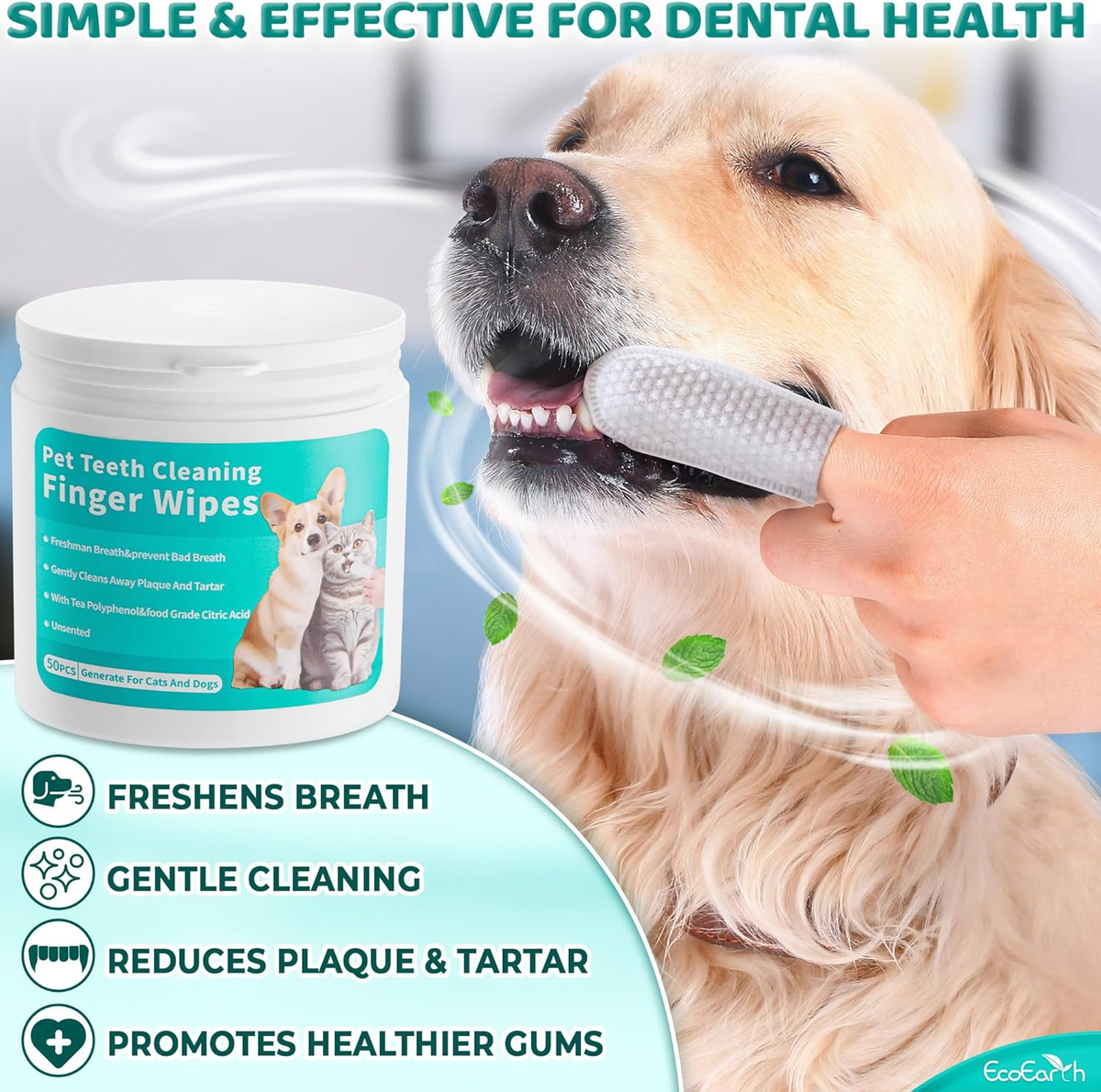Premium Teeth Cleaning Wipes for Dogs Cats 50 Pcs Pet Dental Care  Finger P
