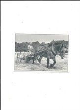 vieille carte photo cheval attelé avec le fermier dans son champ dep. 38