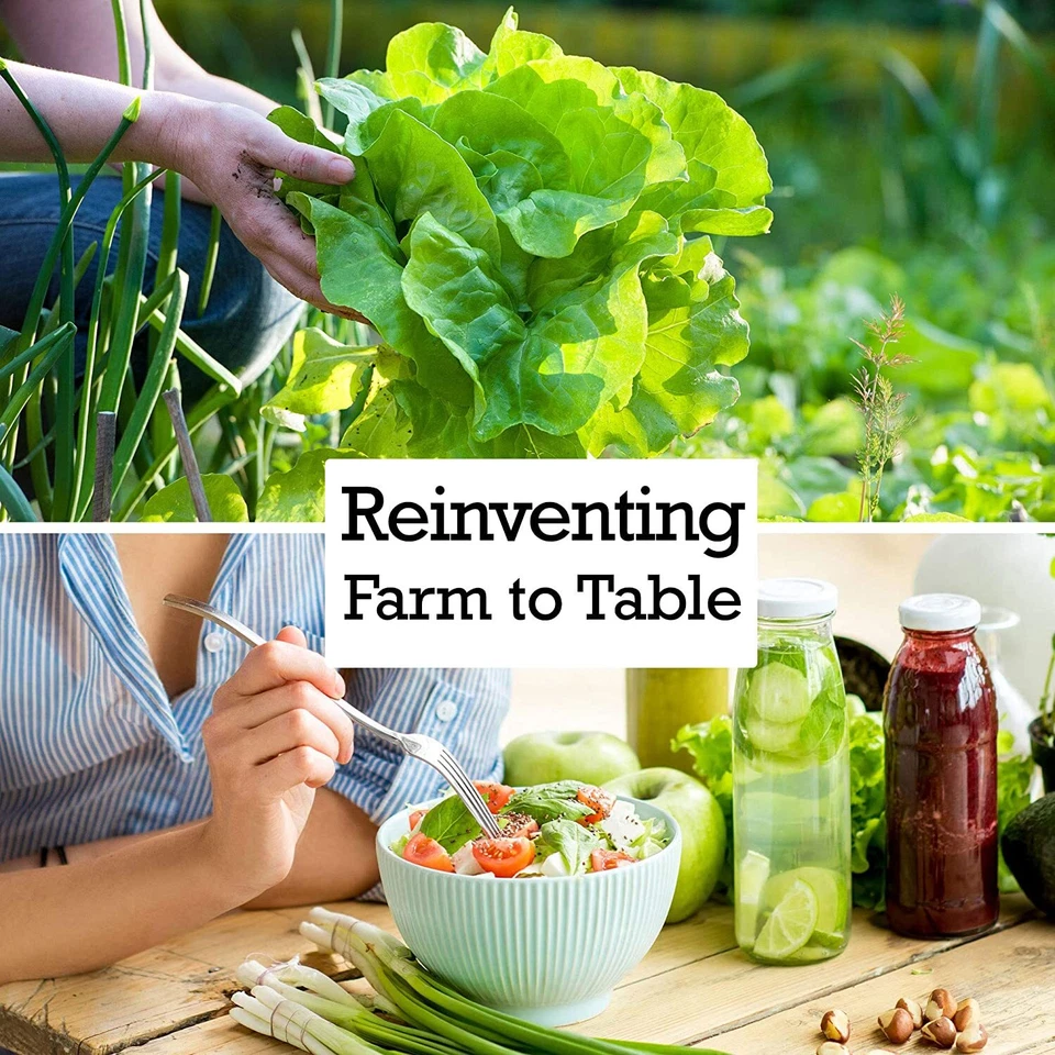 Semillas de col de Bruselas Catskill para plantar - semillas vegetales no transgénicas de reliquia Foto 4 de 4