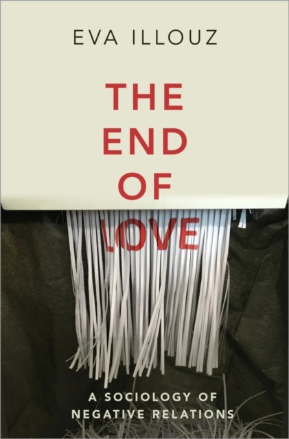 The End of Love: A Sociology of Negative Relations - Image 5