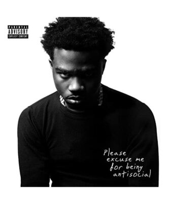 Please Excuse Me for Being Antisocial [Vinyl LP]