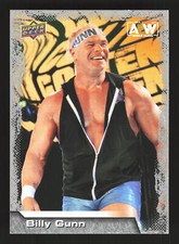 2022 Upper Deck AEW #28 Billy Gunn