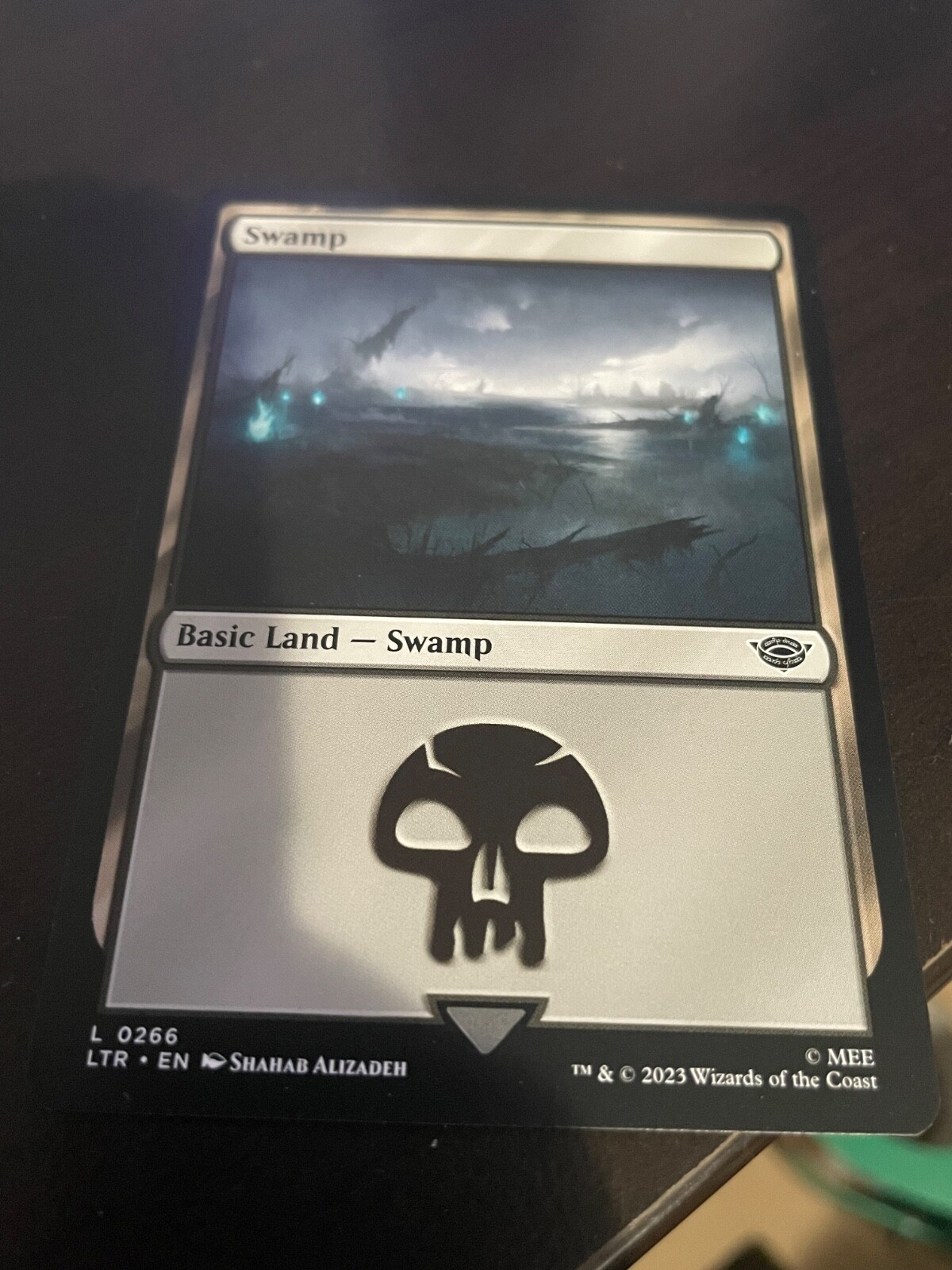 Swamp (262) Amonkhet Regular