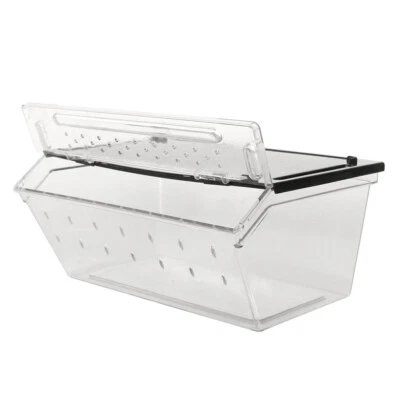 Reptiles-Planet Aufzuchtbox Premium 24x16,5x10,5cm - gut Belüftet - stapelbar!