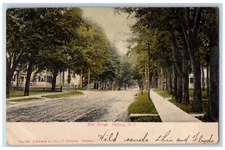 1906 Dirt Road Tree-lined Scene Elm Street Malone New York NY Antique Postcard