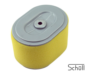 Luftfilter + Vorfilter für Honda F310 F320 F340 F360 F380 F400 F401 FR351