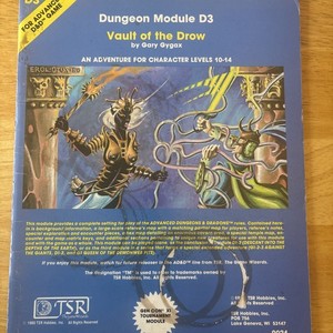 TSR Advanced Dungeons & Dragons Vault Of The Drought Dungeon D3