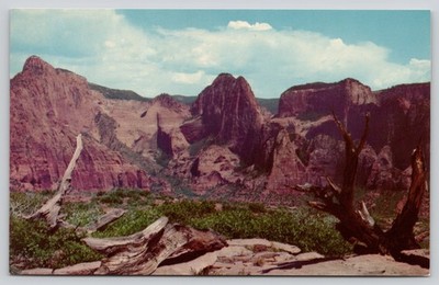 Finger Canyons Kolob Red Navajo Sandstone Zion Utah Postcard