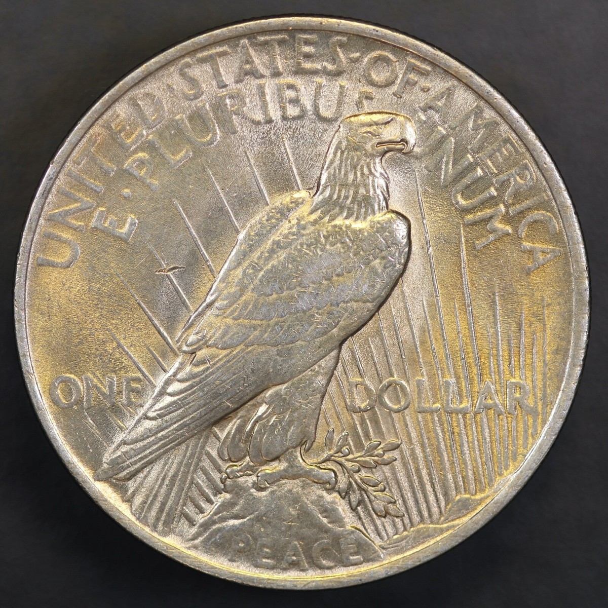1924 SILVER PEACE DOLLAR FRESH FROM AN ORIGINAL COLLECTION-LOT-AA