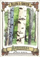 2021 Allen Ginter Base and Insert Singles