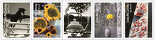 #6128 - 6132 2026 Linda McCartney Strip/5  - MNH (After Sept 25)