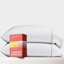 100 Egyptian Cotton Pillow Cases Queen Size Set of 2 - Luxury 1200 Series Pl...