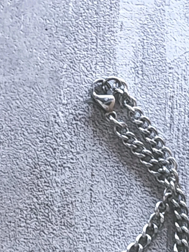 Collar de acero inoxidable con colgante de etiqueta de perro de oración de señores para hombres y mujeres 22" Foto 4 de 4