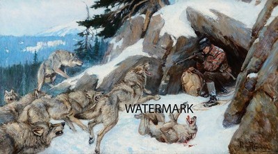 Wolf Wolves Attack Caught in the Den Phillip Goodwin 13x19 Print Reproduction
