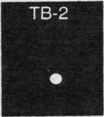 Plastruct TB-2 Fine Line Kunststoff Rundrohr mit Metallstabmitte 1/16 (1,6 mm)