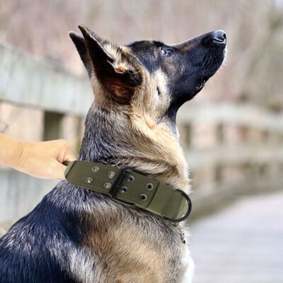 Tactical Dog Collars Military Dog Collar Thick with Handle Collar