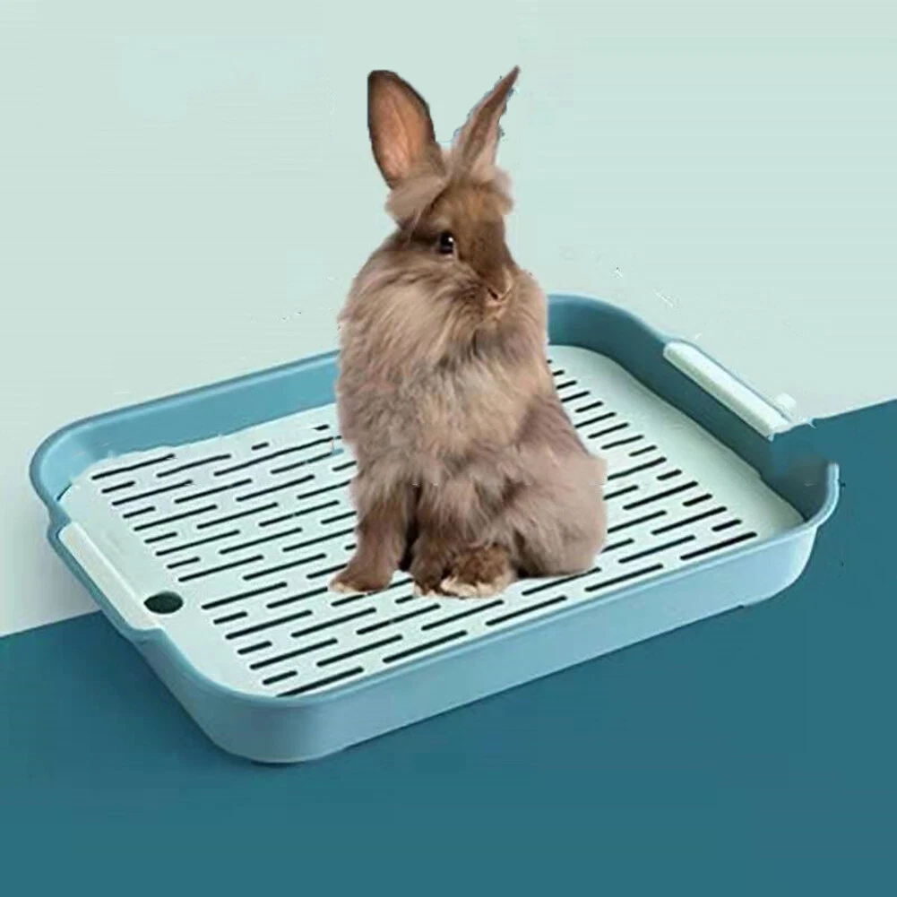 Bunny litter box with grate cheap