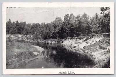 Mesick MI Michigan River Bend Landscape 1950s Postcard