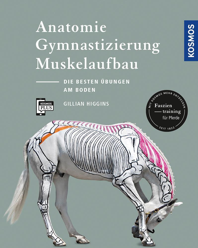 Thumbnail - Anatomie, Gymnastizierung, Muskelaufbau Gillian Higgins