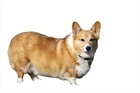 Bild 6 von 20