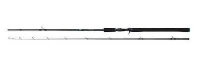 Salmo Tollmaster 240cm 40-60g 2-teilige Angelrute