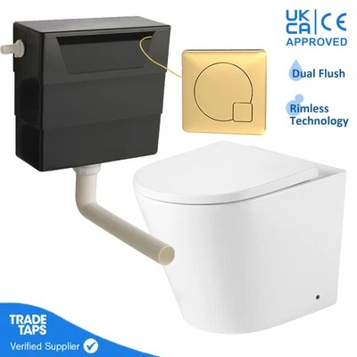 TRADETAPS Rimless Back to Wall Toilet BTW Soft Close WC Cistern Brushed Brass Flush Button