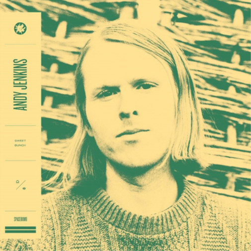 Альбом Энди Дженкинса Sweet Bunch (CD)